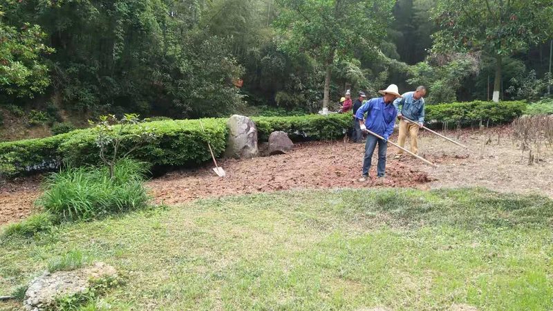 屋顶绿化后期养护要点全解析