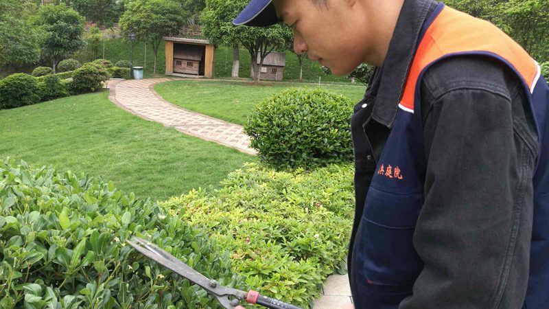 新中式别墅花园：如何打造一方宁静雅致的空间