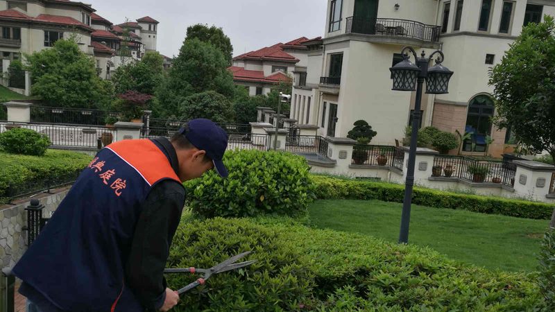 顶楼露台花园设计，成本如何控制？**
