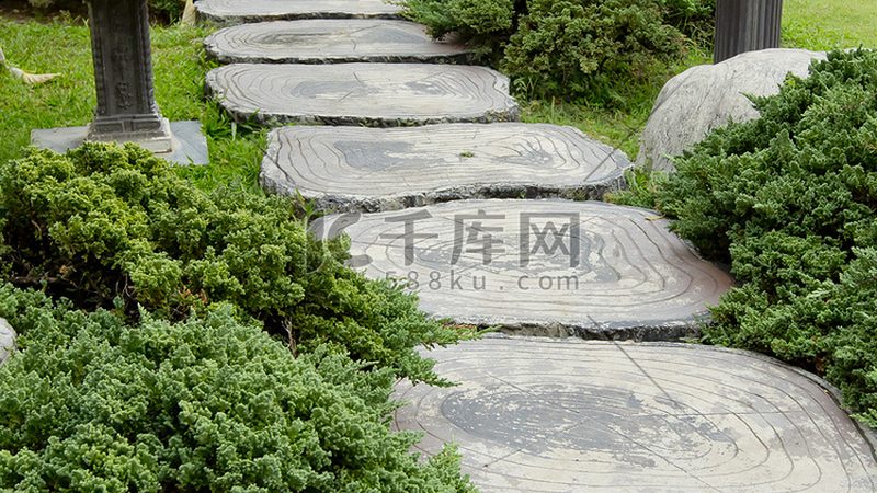 会议室花卉租摆，如何打造绿色办公空间**