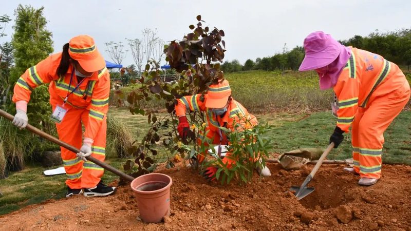 成都开业庆典绿植租赁：如何打造绿色氛围**