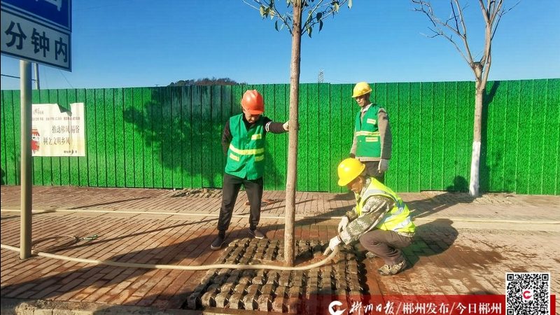 边坡客土喷播植草，这些注意事项你了解吗？**
