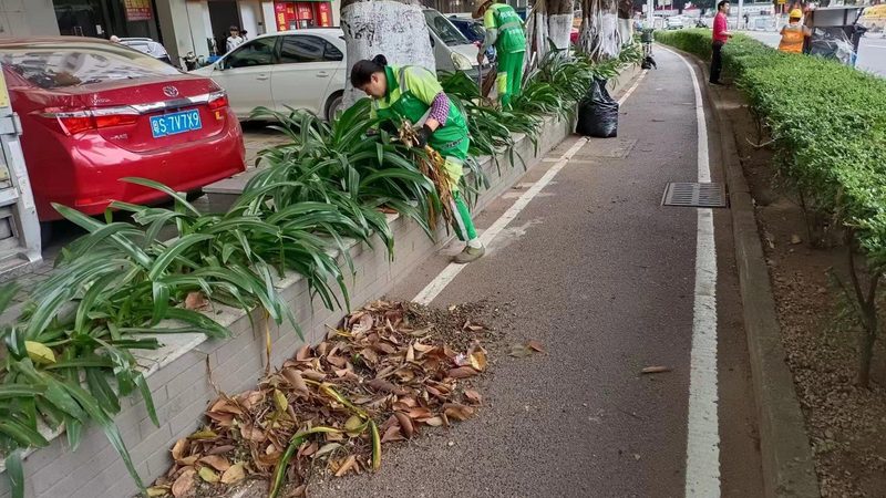 小区绿化养护：标准规范，守护绿色家园**
