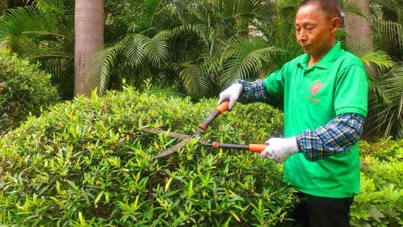 别墅花园设计：材料选择背后的考量**