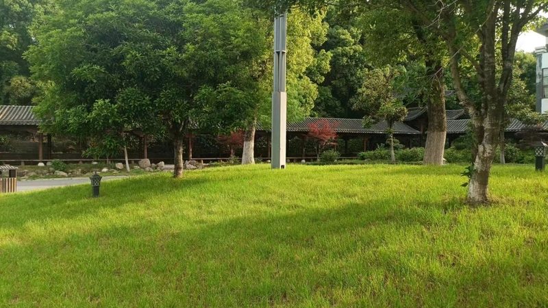 办公室绿植租赁，如何选择性价比高的套餐？**
