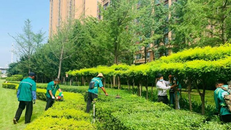 垂直绿化墙与普通绿植区别