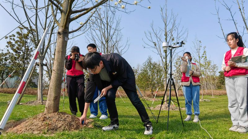 医院绿化养护流程：科学管理与健康环境的守护者**